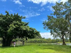 -南宁花花大世界景区