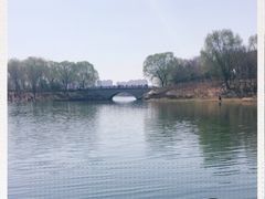 -大兴滨河森林公园