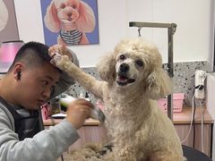 -小呆的宠物店·宠物售卖·宠物寄养(城西店)