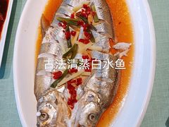 -西塘人家•黑金冠本地好店