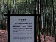 -大奇山国家森林公园