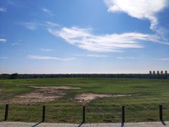-盐城丹顶鹤湿地生态旅游区