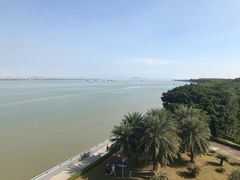 -大湾区中央湿地公园