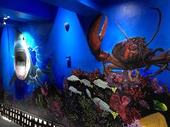 -船奇蒸汽海鲜·闽菜(八市海鲜总店)