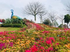 -东莞植物园
