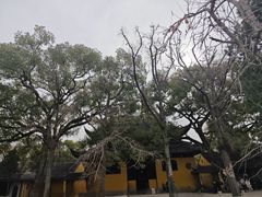 -西园戒幢律寺
