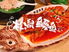-吴越荣记苏州菜·松鼠桂鱼100%活鱼现做(斜塘老街店)