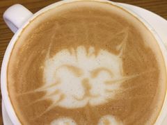 -猫色咖啡·猫咖