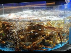 -徐记海鲜(大雁塔|金都店)