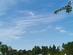 -柳鹭田园区
