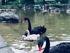 -两江国际影视城