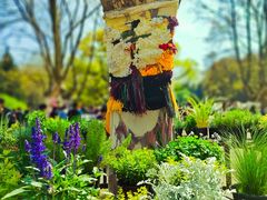 -上海共青森林公园