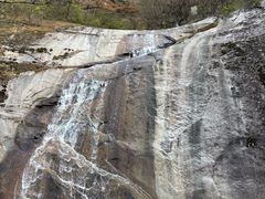 -内乡宝天曼生态旅游区