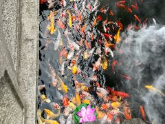 -西林禅寺