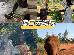 -海南热带野生动植物园