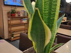 -李先生牛肉面大王(东营友谊广场店)