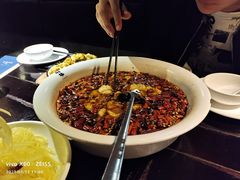 精致沸腾鱼-老屋印象川菜(世纪东方店)