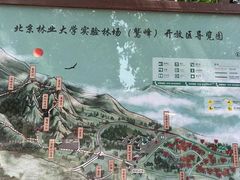 -北京鹫峰国家森林公园
