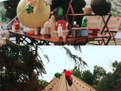 -上海海湾国家森林公园