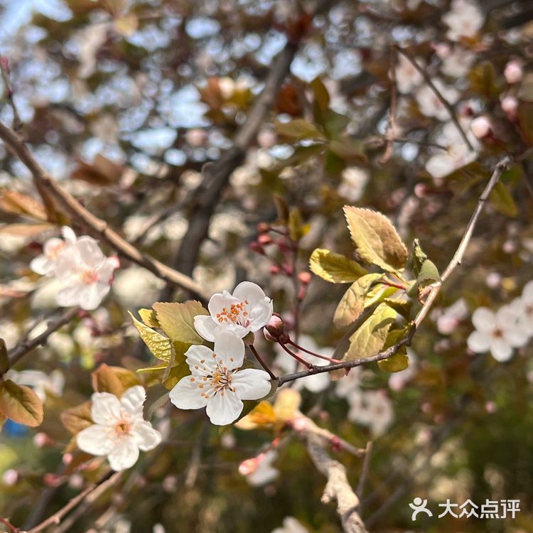 今天的烤肉吃货日记