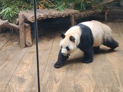 -深圳野生动物园