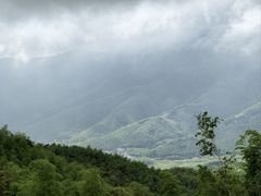 -莫干山风景区
