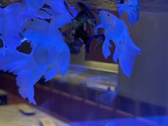 -黄鱼炙夜(华家池店)
