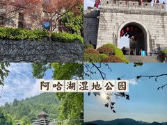 -黔灵山公园