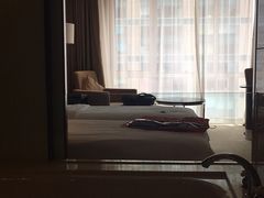 -南桥绿地铂骊酒店
