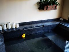 -春晖园度假酒店温泉