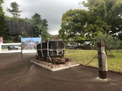 -伊豆观海列车