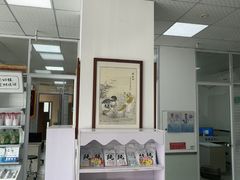 -美美宠物诊疗中心·异宠·骨科(滨江东信分院)