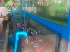 -大螃蟹海鲜餐厅