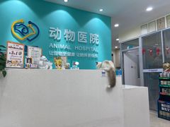 -美迦爱-动物医院·骨科·牙科·夜诊(朝阳路诊疗中心)