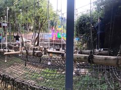 -广东天露山旅游度假区