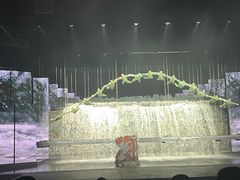 -丽江千古情