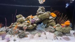 -Zoolung Zoolung动物主题公园(海信广场店)