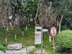 -七桥瓮公园