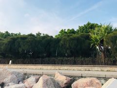 -深圳湾公园(南山区)