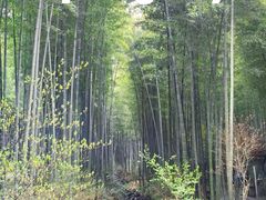 -天目湖涵田度假村