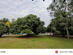 -深圳湾公园(南山区)