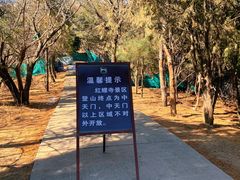 -红螺寺