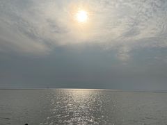 -滆湖低碳生态公园
