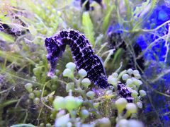 -多彩贵州城极地海洋世界