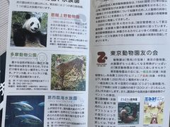 -井之头恩赐公园