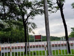 -东莞植物园