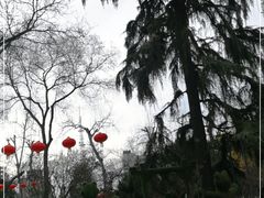 -莲湖公园