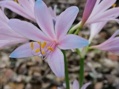 -苏州河梦清园环保主题公园