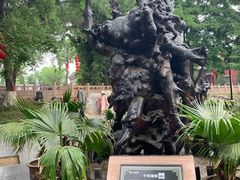 -大槐树寻根祭祖园