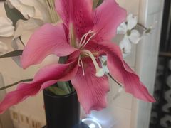 -雾都渣渣火锅(南城智汇城店)